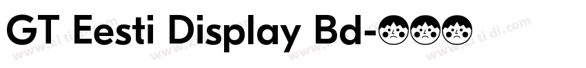 GT Eesti Display Bd字体转换